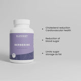 BERBERINE 1200 MG – BLOOD SUGAR SUPPORT
