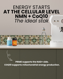 CoQ10 200 MG – CELLULAR ENERGY