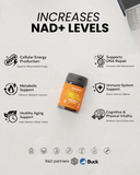 PRIME NMN 250 MG | x12