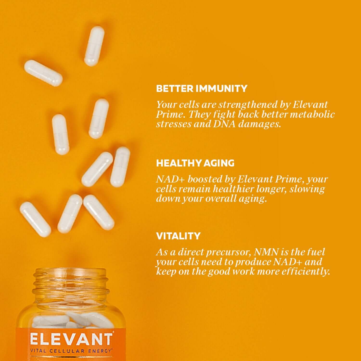ELEVANT PRIME