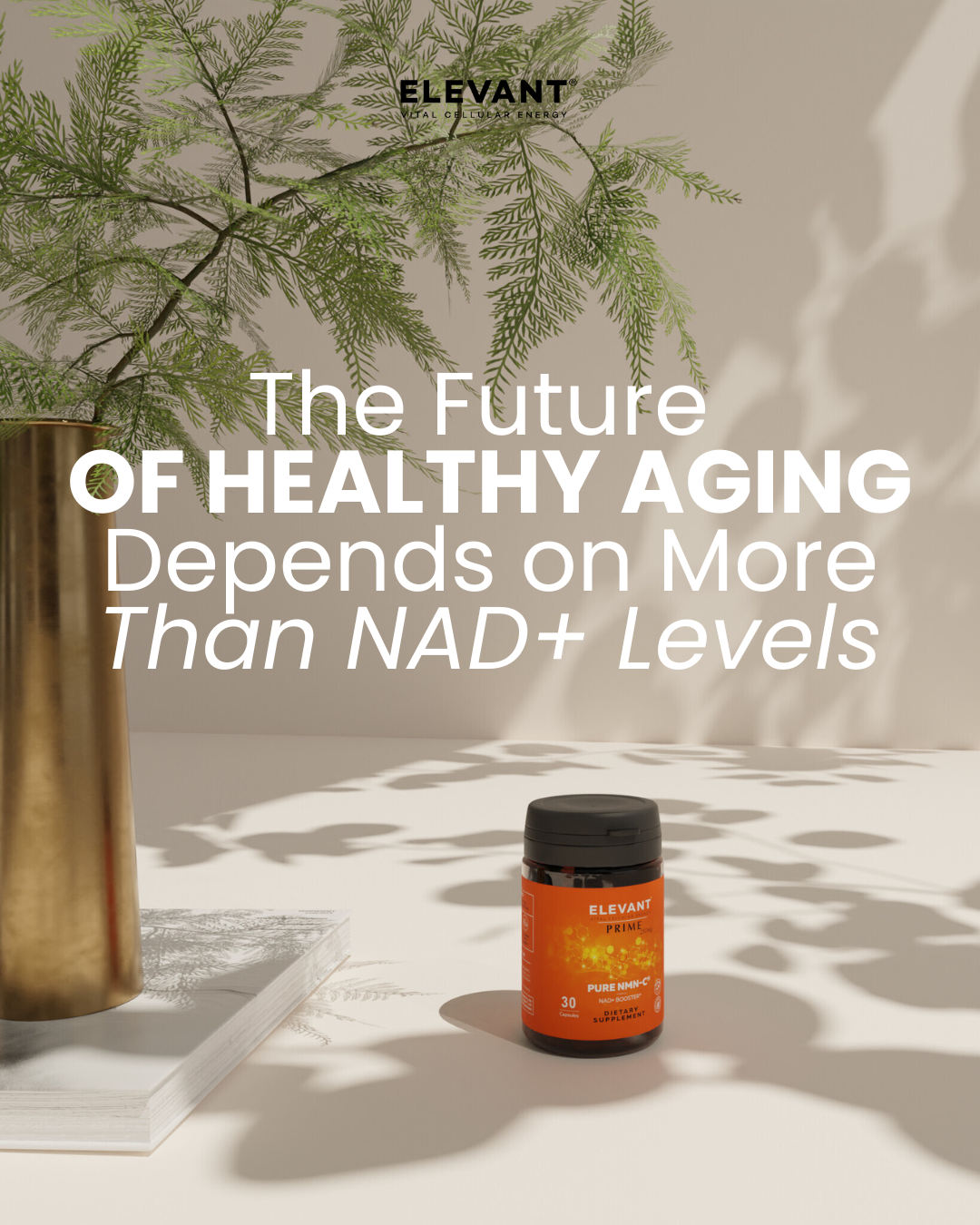NAD+ Doesn't Decline With Age? What the Headlines Aren't Telling You