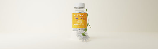 Discover the Secrets to a Healthy Life with Elevant: Tips for Optimal Vitality