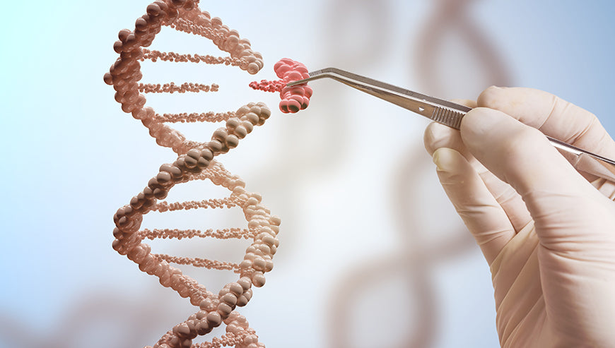 Epigenetics: Unlocking the Secret to Healthier Aging