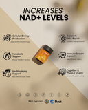 OPTIMA NMN 250 MG – NAD BOOSTER – METABOLISM